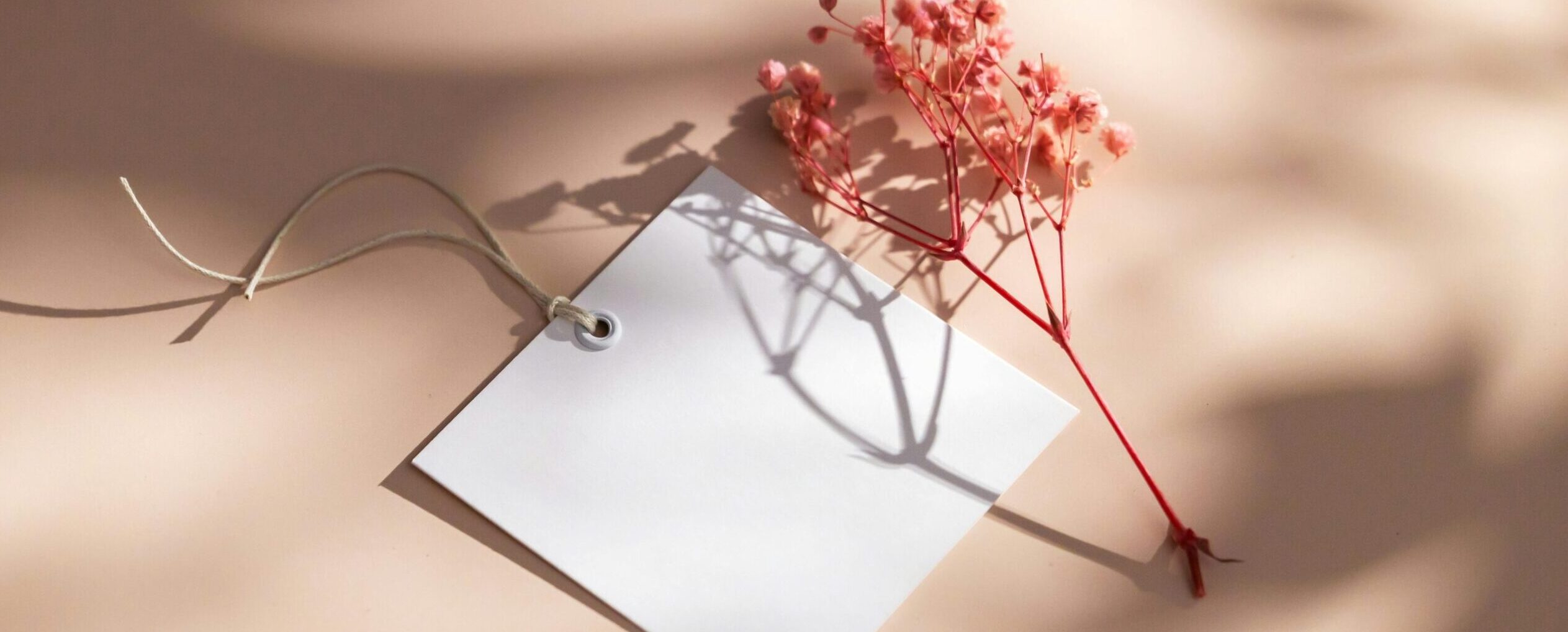 シンプルでカスタマイズしやすいWordPress.org登録テーマ